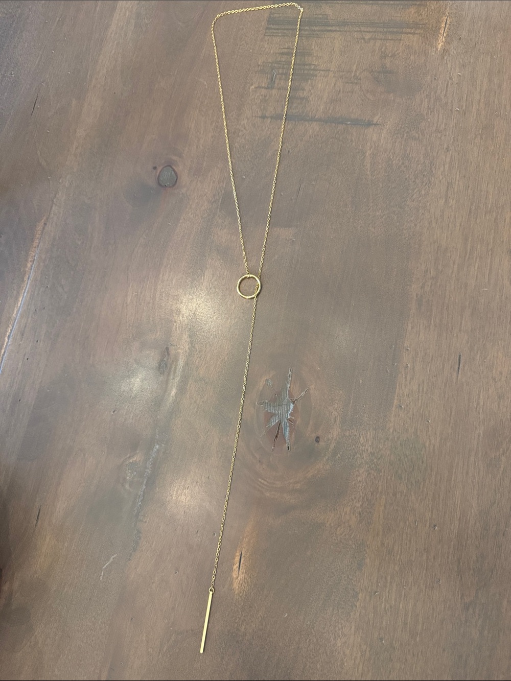 Delicate Gold Lariat Necklace with Circle Detail